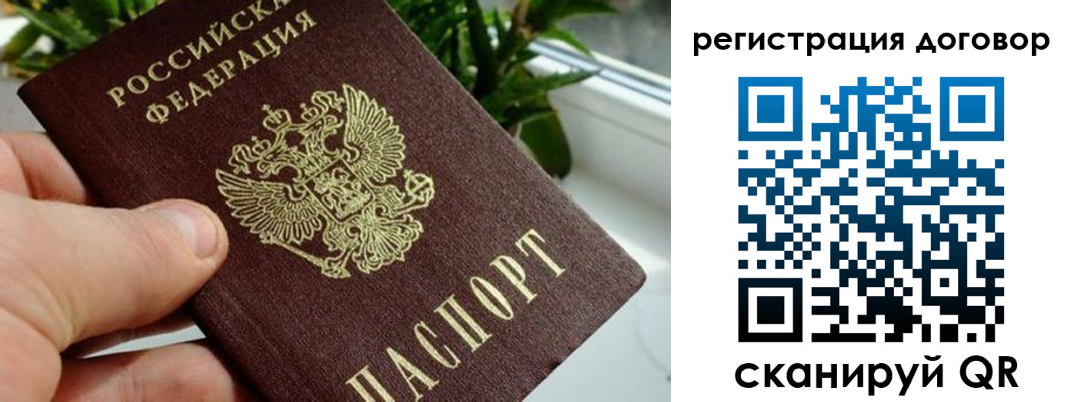 прописка ребенка в Шебекино